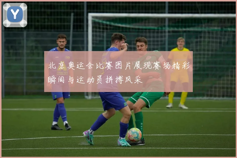 北京奥运会比赛图片展现赛场精彩瞬间与运动员拼搏风采